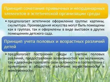 Эстетическая организация среды