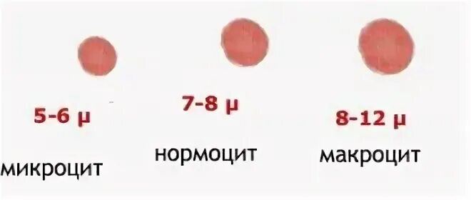 Снижение эритроцитов причины. Анализ крови эритроциты норма у женщин. Эритроциты снижены у женщины. Эритроциты снижены у женщины. Норма эритроцитов в крови 20 лет.