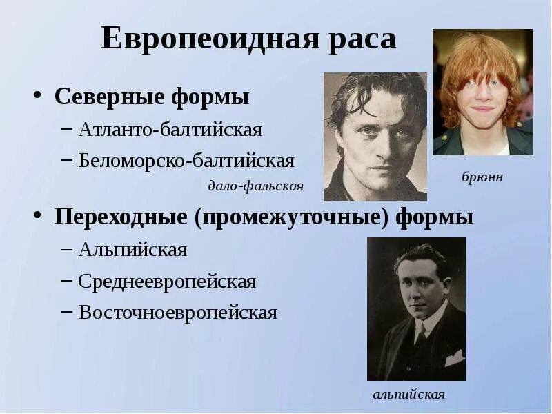 Языки финно-угорской группы. Атланто-балтийский антропологический тип. Балтийская группа народы. Балтийская группа народов. Балтийская группа народы.