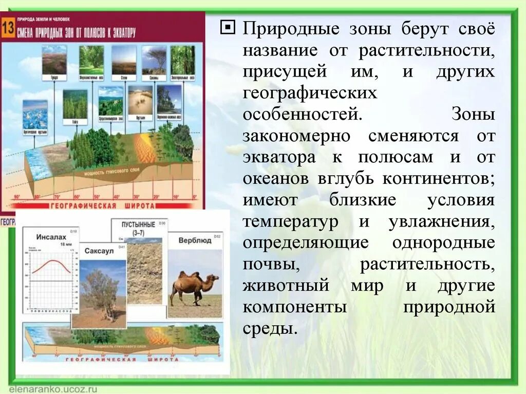 Природная зона презентация 7 класс. Природные зоны земли конспект. Природная зональность конспект. Конспект на тему природные зоны. Географическая зональность (природные зоны).