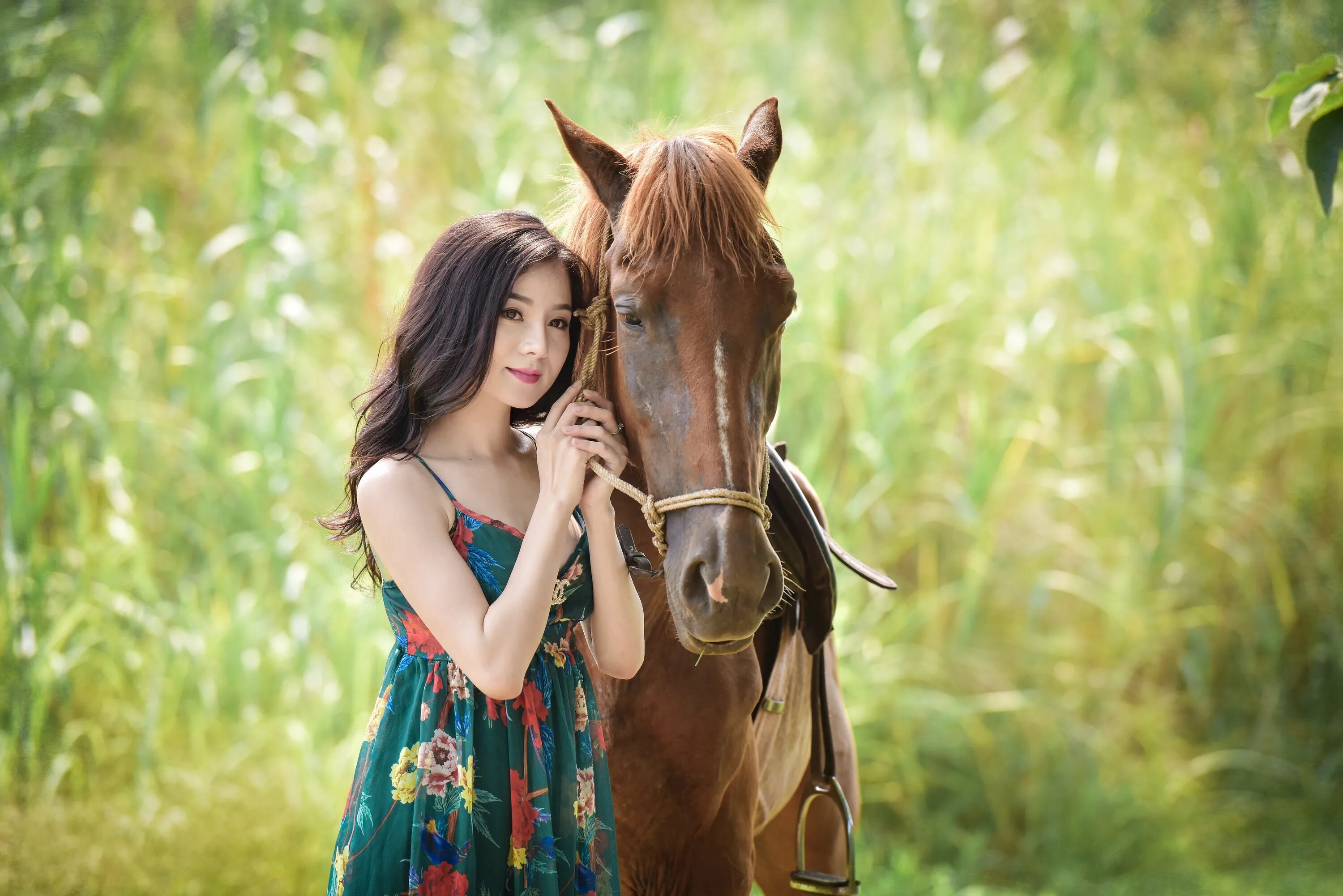 Девушка с лошадью видео. Фотосессия с лошадьми. Женщина на лошади. Девушка с лошадью. Девочка на лошади.