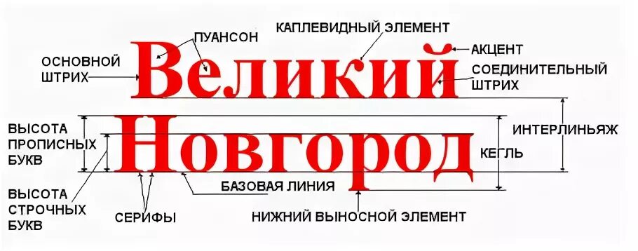 Основной элемент слова. Основные элементы шрифта. Анатомия шрифта. Части буквы в шрифте. Из чего состоит шрифт.