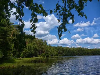 Ласково рязанская область