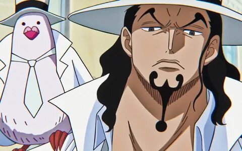 Lucci one piece