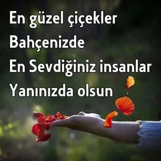 Bir gun
