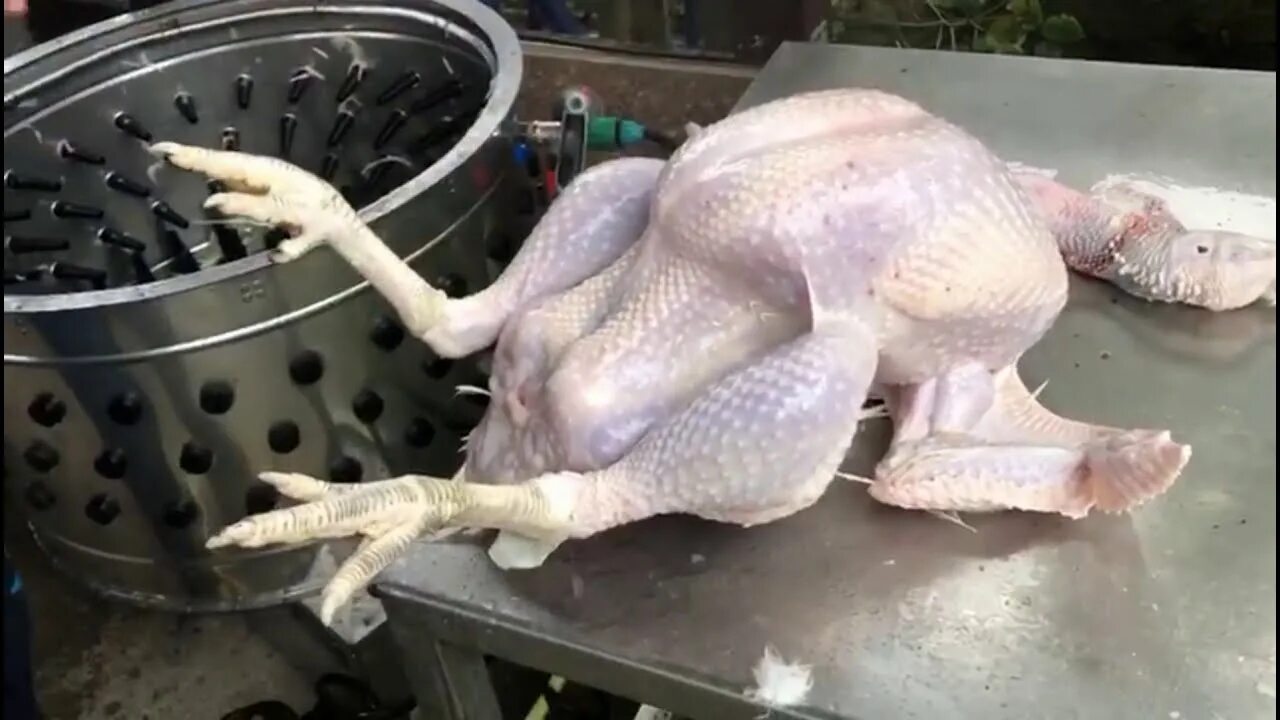 Попал как в ощип