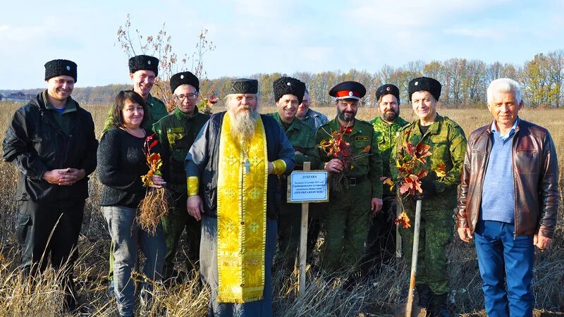 Погода грайворонском