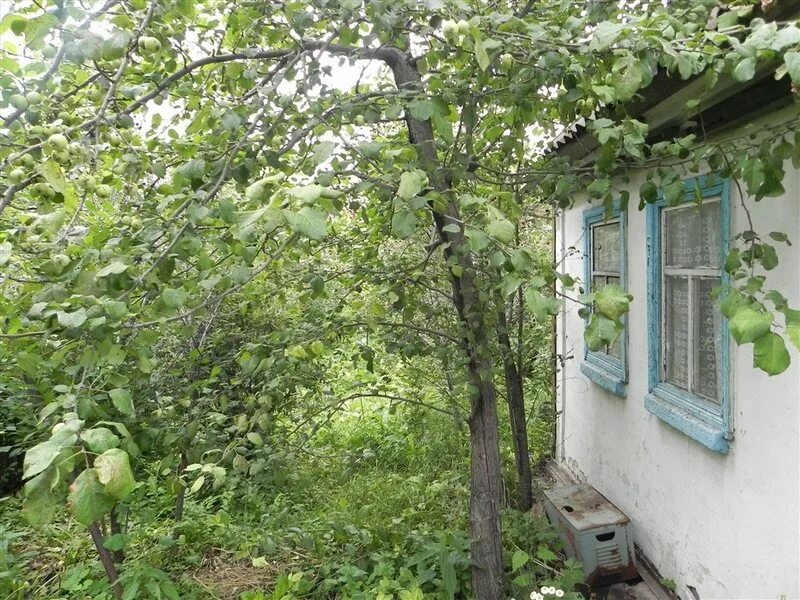 Сад дружба чмз. Снт дружба кочубеевский район. Снт дружба. Снт дружба долгодеревенское. Снт дружба магнитогорск ворота.