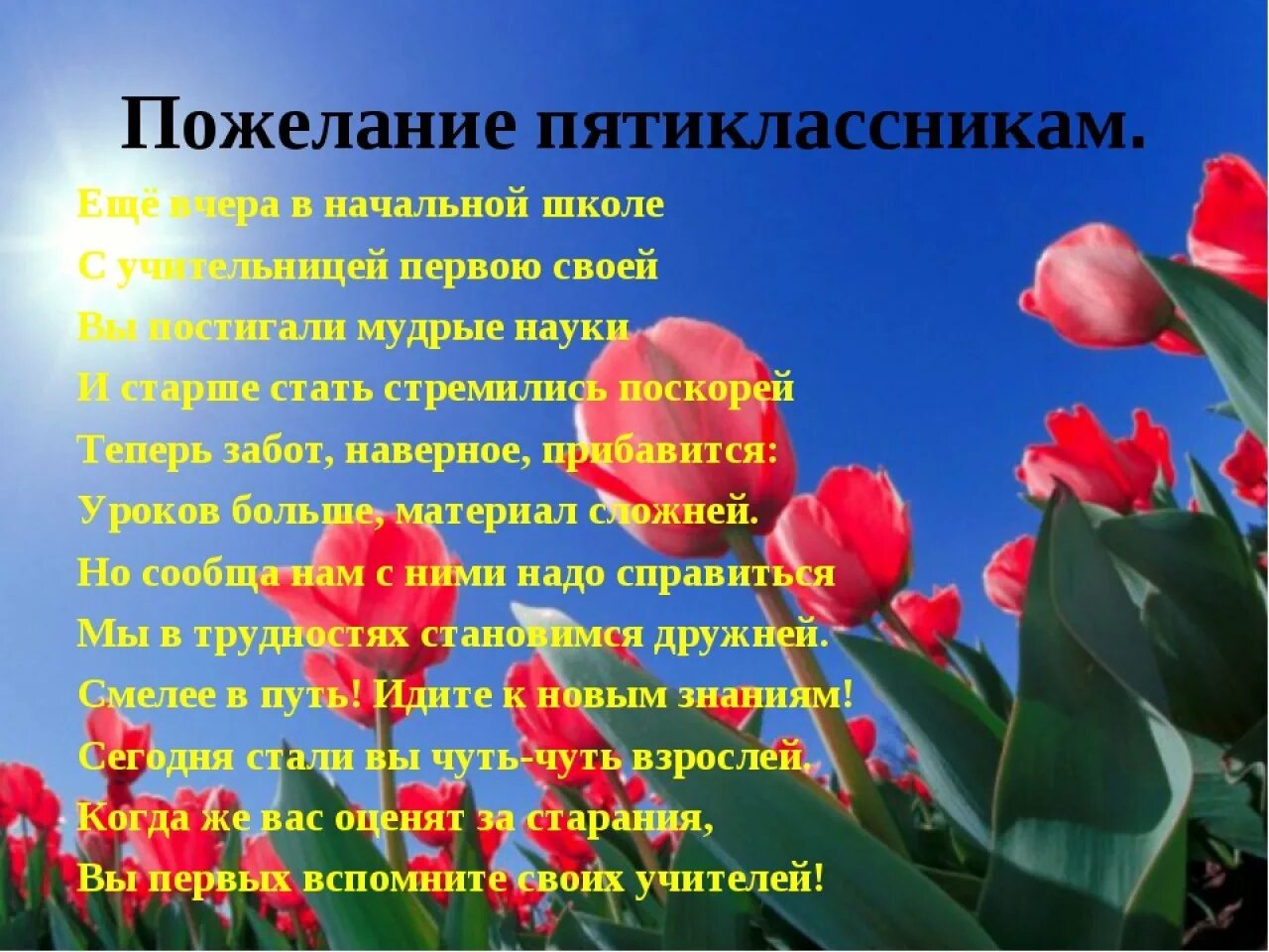 Слова классного на выпускном. Напутствие пятиклассникам. Напутствие детям начальной школы. Пожелания выпускникам 4 класса. Слова напутствия выпускникам 4 класса от учителя.