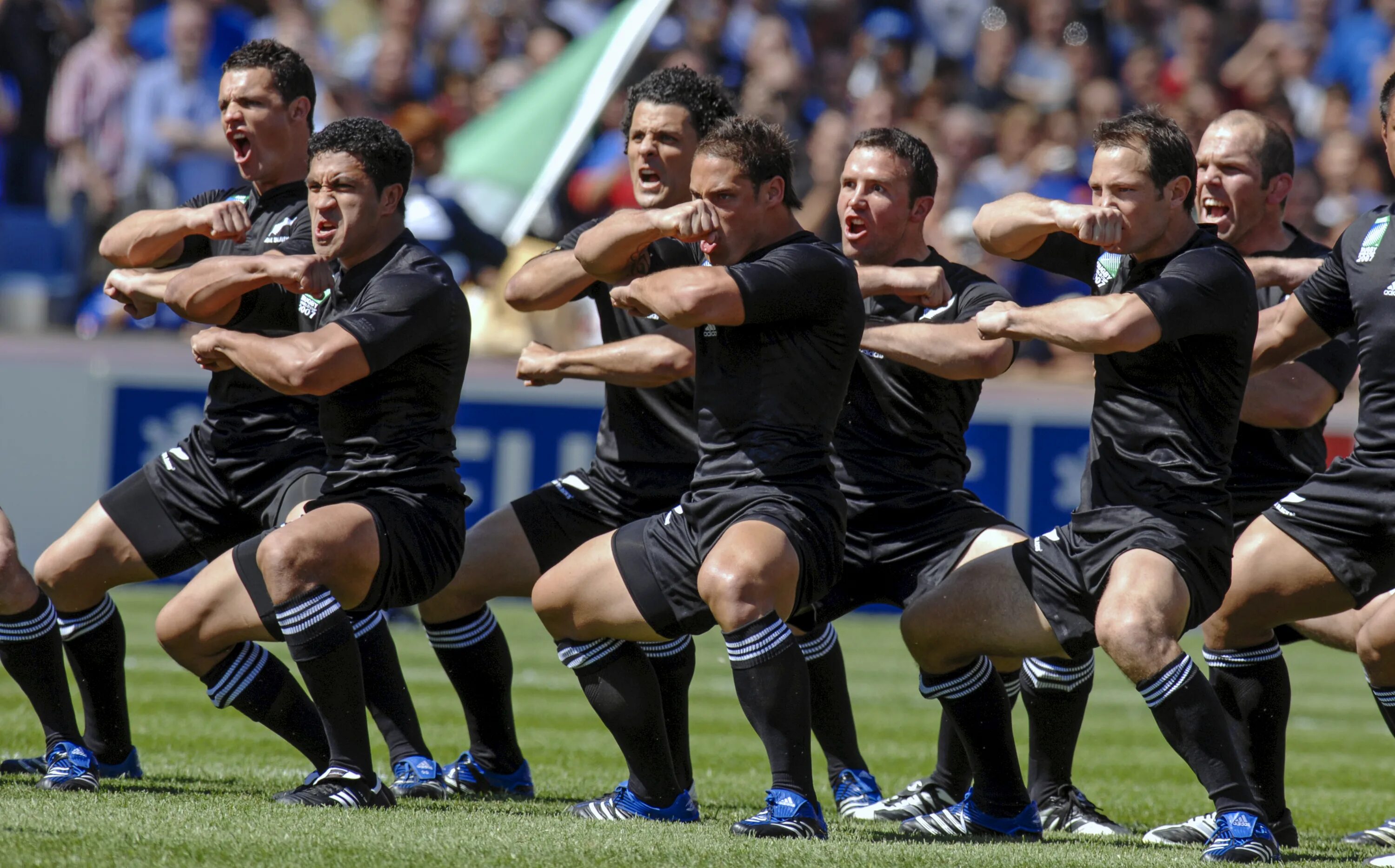 New zealand sport. Хака Маори регби. Сборная новой Зеландии по регби. Сборной новой Зеландии по регби. Спорт в новой Зеландии.