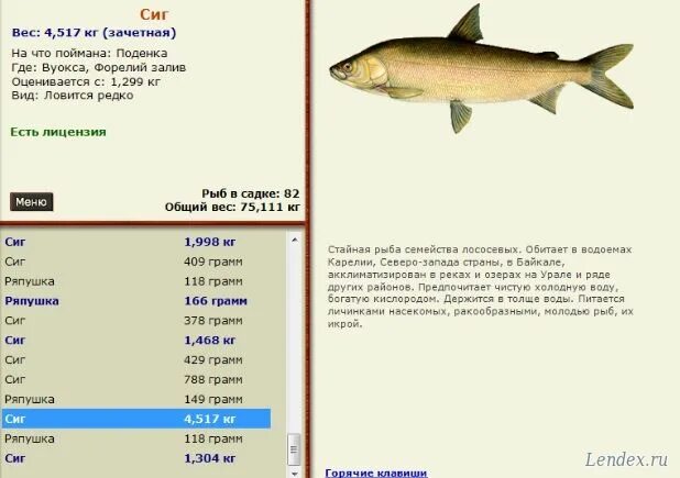 Русская рыбалка сиг