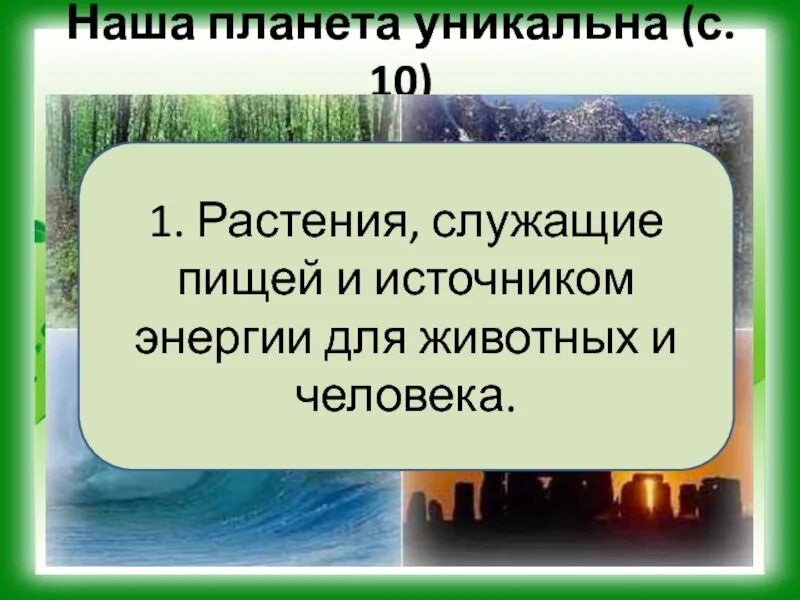 Источником энергии для жизни организмов является. Растения служат для человека и животных. Презентация по теме условие необходимой для жизни животных.