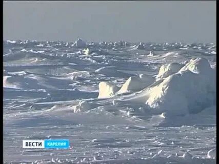 Арктическая академия гроза севера