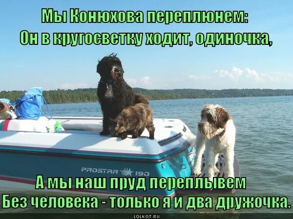 Сушите весла сэр. Сушите весла сэр. Остров сокровищ сушите весла сэр. Сушите весла сэр. Остров сокровищ сушите весла сэр футболка.
