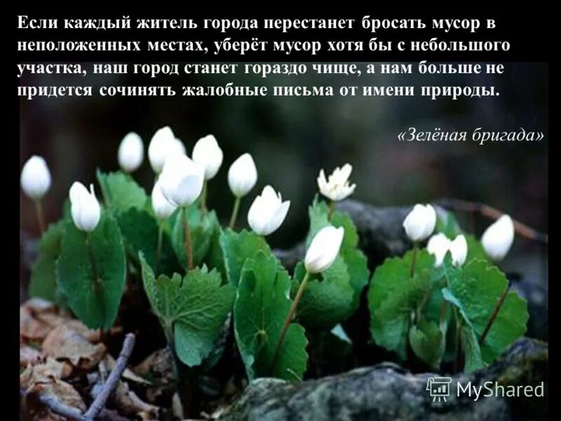 гораздо чище