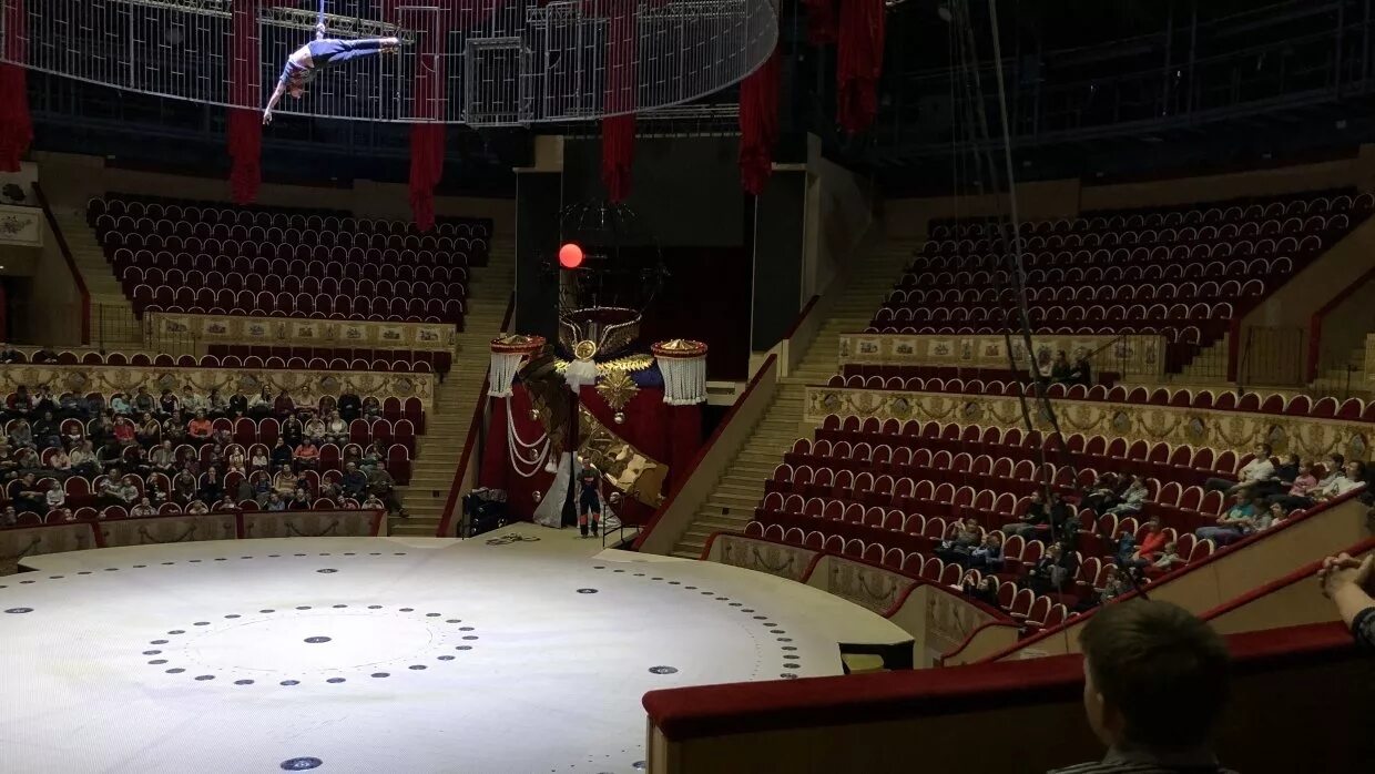 московский цирк никулина на цветном бульваре зал. цирк никулина ложа партера. цирк никулина 100 лет зал. ложа в цирке на вернадского. цирк никулина манеж.