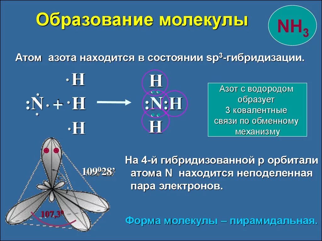 Тип гибридизации атома азота. Молекула nh3 тип гибридизации. nh3 sp3 гибридизация. sp3 гибридизация азота. nh3 тип гибридизации.