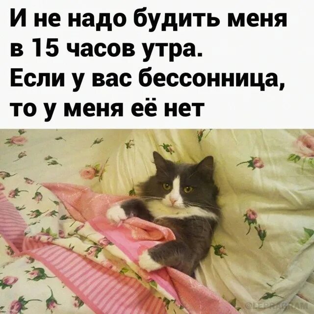 Не надо меня будить. Разбудите меня. Не надо меня будить. Спокойной ночи хозяин. Не надо меня будить.