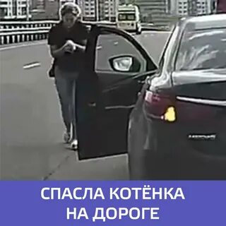 Девушка спасла кота