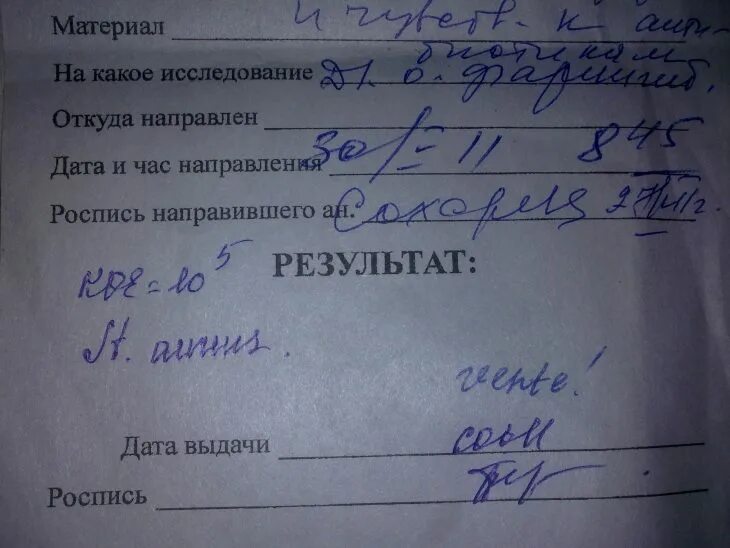 Золотистый стафилококк в носу норма у взрослых. Анализ на золотистый стафилококк. золотистый стафилококк анализ крови. золотистый стафилококк на латыни. анализ крови при стафилококке.
