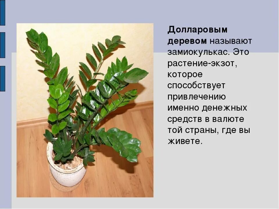 Как называется уход