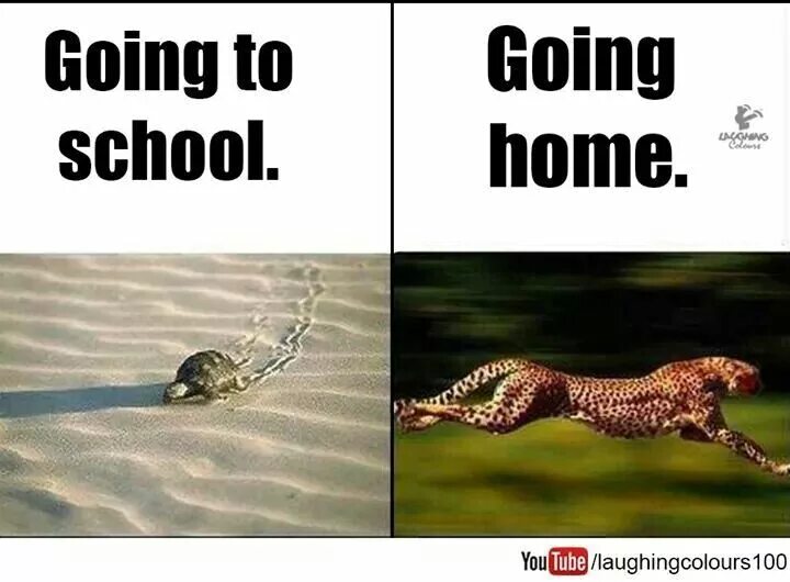 You have been good to me. School memes. Funny memes about School. Going to. Going to School meme.