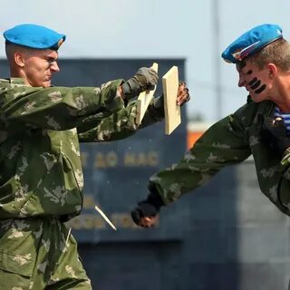 Защитники государства
