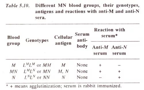 Группа крови mn. Группа крови MN наследование. Группы крови по системе MN. Система крови MN. Группы крови человека по системе MN.