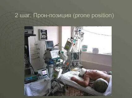 Сколько лежат под