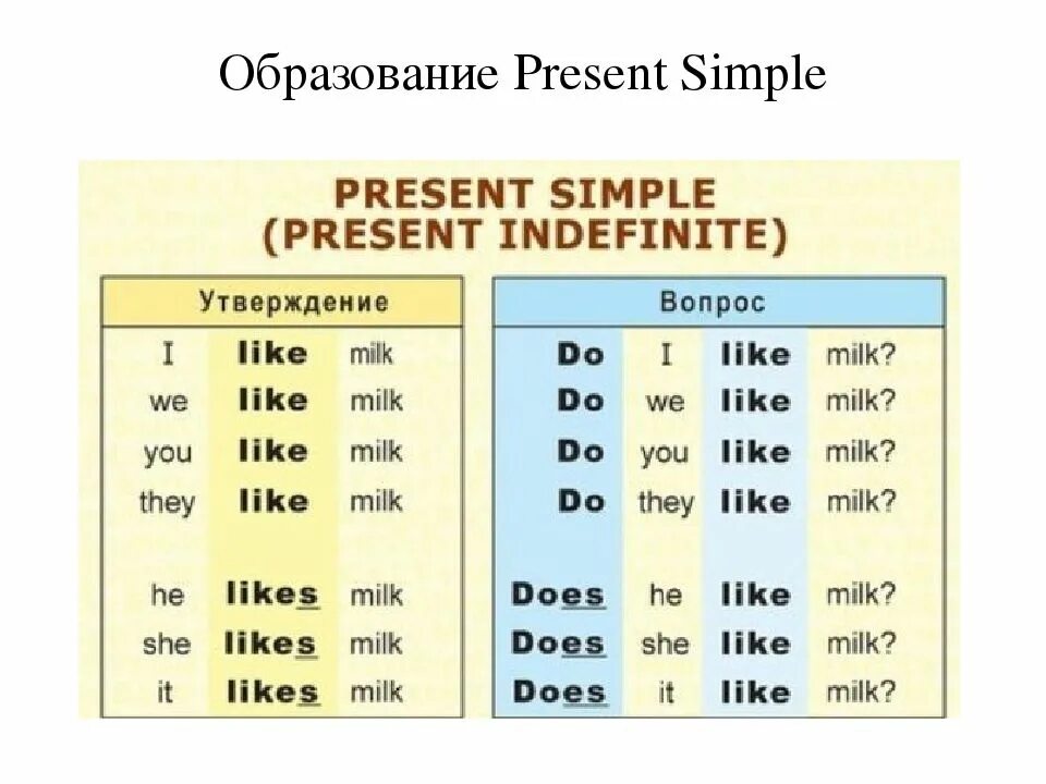 Does в вопросе your. Present simple таблица. Правило do does в английском языке. Таблица do does. Present simple таблица образования.