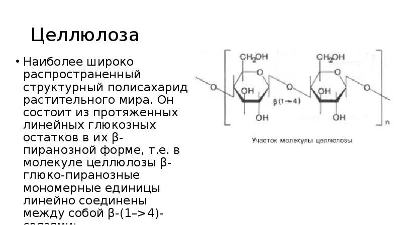 Структурная единица целлюлозы. Целлюлоза это структурный полисахарид. Мономерное звено целлюлозы. Форма молекул целлюлозы.