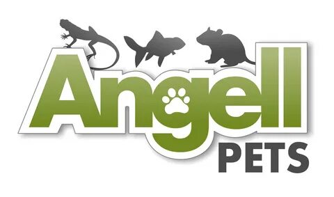 My pet me
