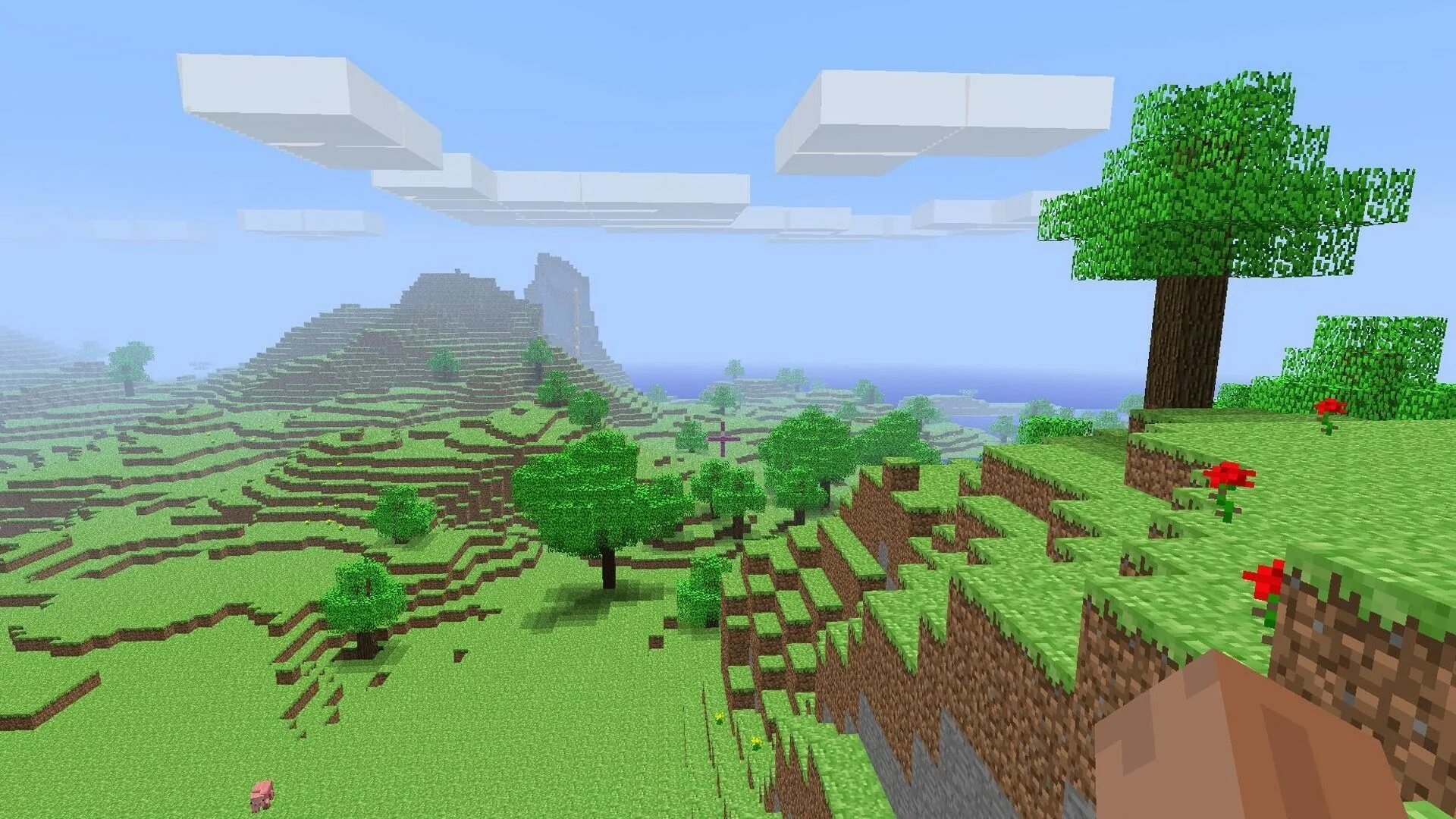 Minecraft 12 net