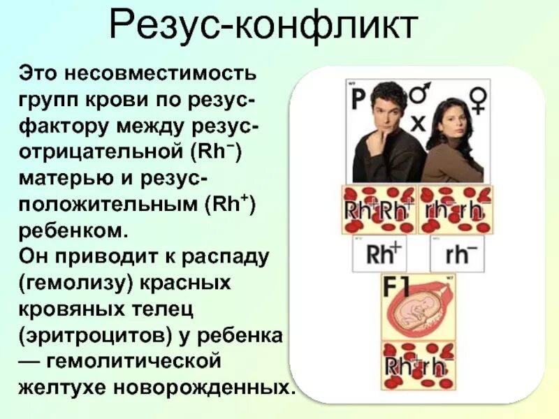 Несовместимость крови. Резус конфликт. Вероятность резус конфликта. Конфликт по группе крови. Несовместимость по группе крови