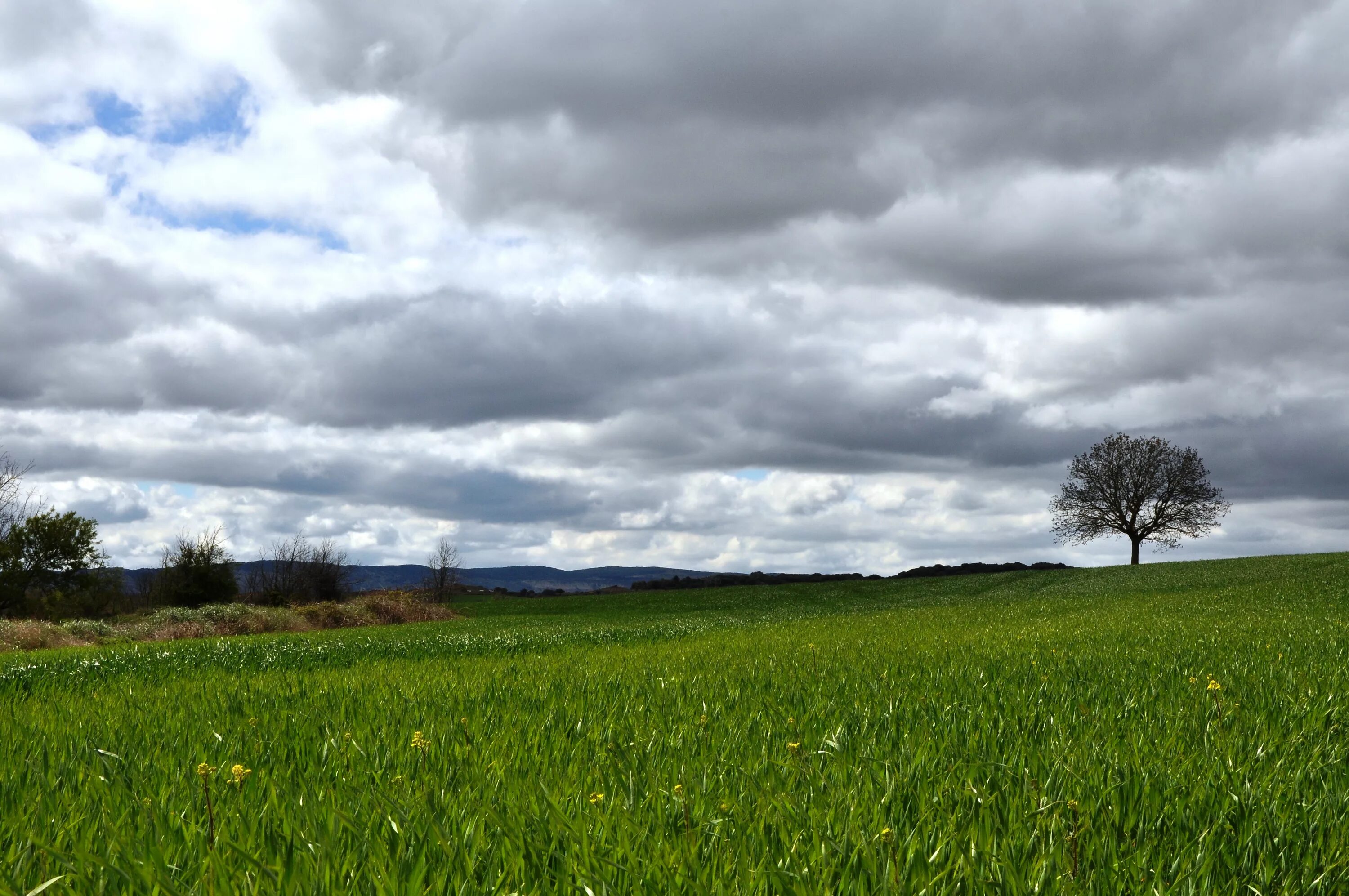 Cloudy june