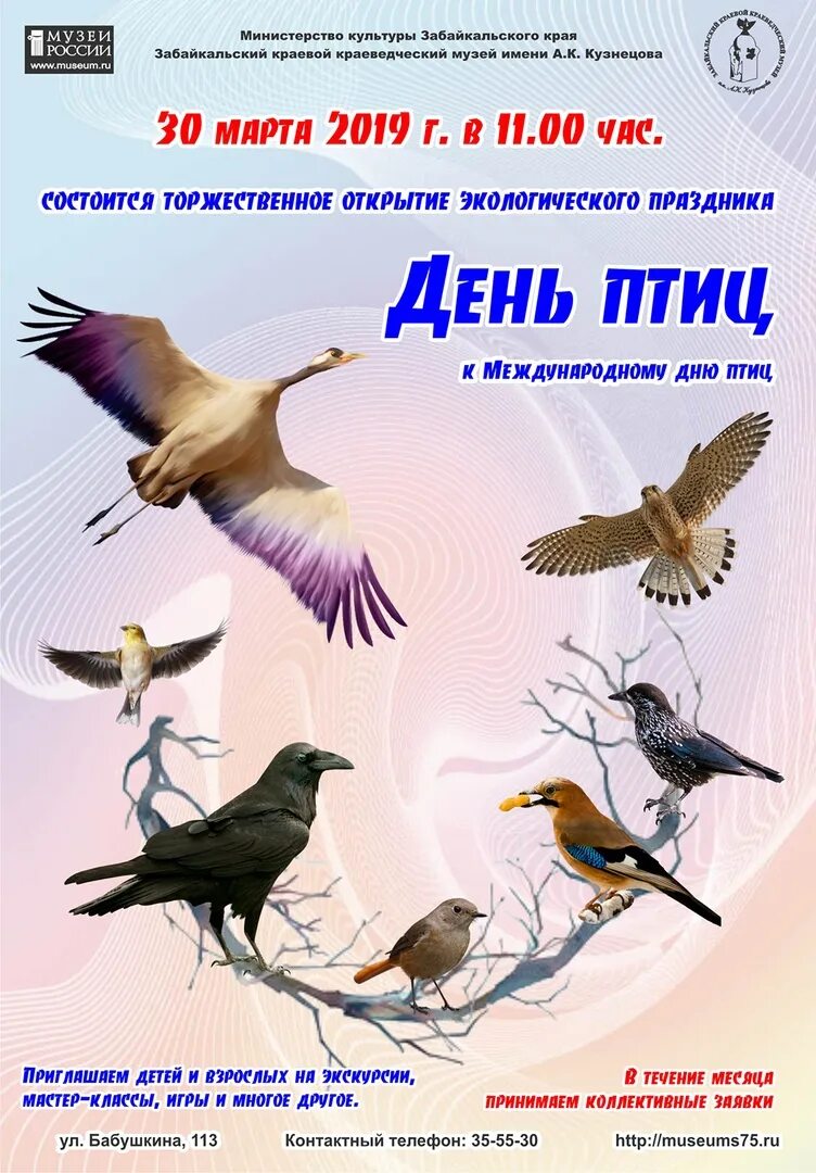 Международный праздник птиц