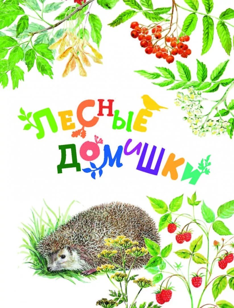 Обложка книги о природе. С книжкой на природе ребенок. Книги о природе для детей. Сказки о природе.