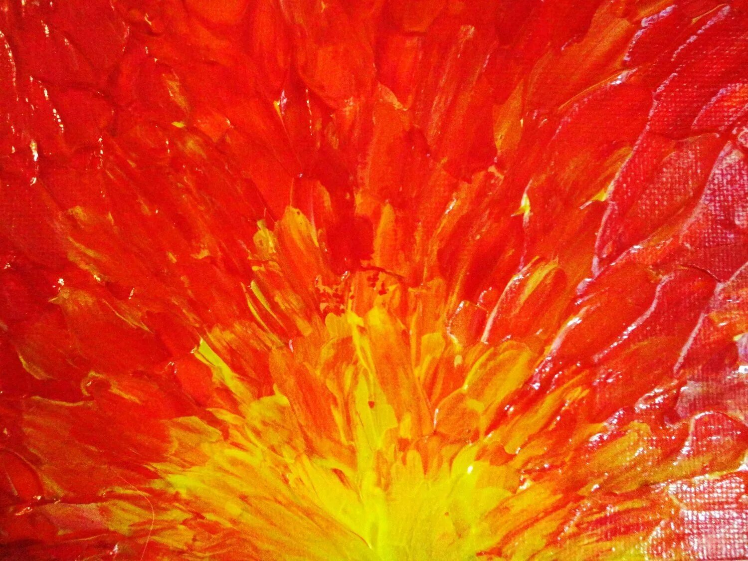 Яркий оранжевый цвет. Красно желтые цветы. Желто-оранжевый цвет. Красный/желтый. Красные желтые тона.