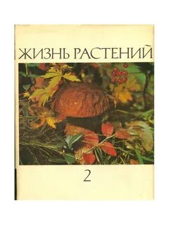 Учебник жизнь растений