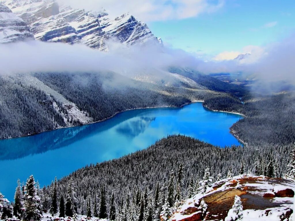 Лучшие. Озеро Пейто, Альберта, Канада.. Озеро Пейто (Peyto), Канада. Озеро Маккей Канада. Колд-Лейк (озеро, Альберта).