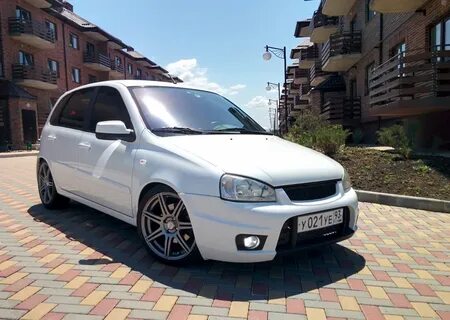 Калина 1 белая