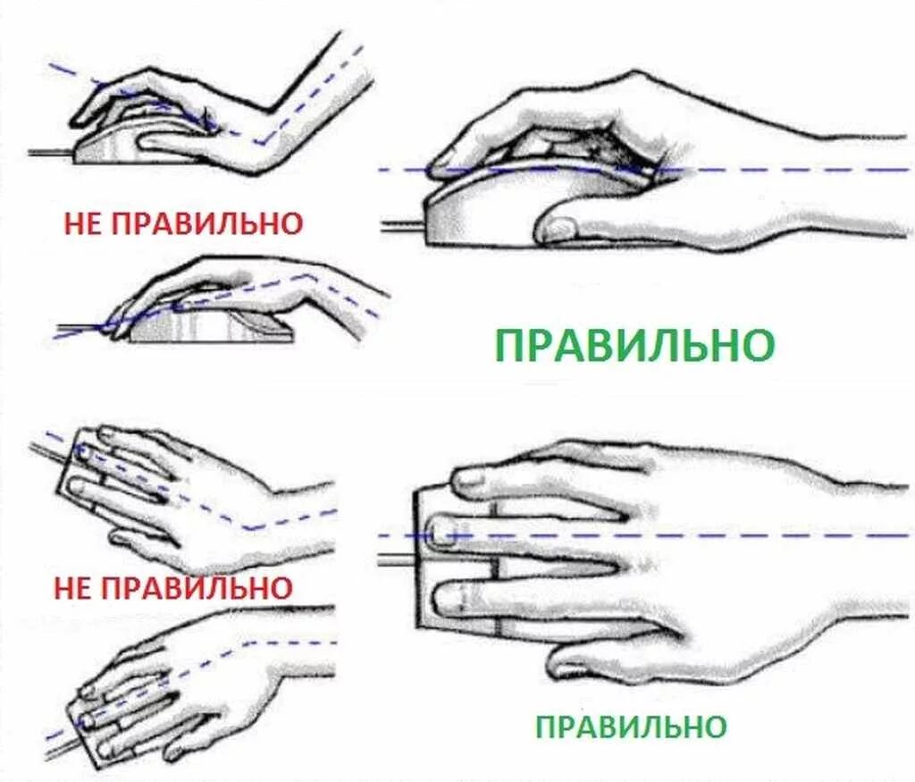 4) Как должна располагаться рука при работе с мышью?. Как правильно держать м. Как правильно держать мышку. Как правильно держать мушку.