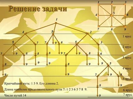 Графы проект