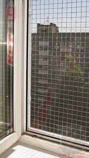 Москитные сетки антикошка на пластиковые окна