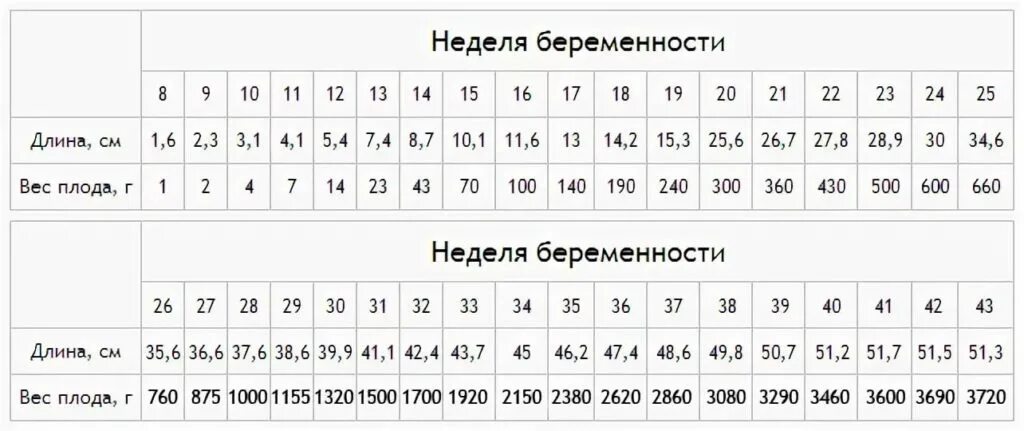 Таблица размеров эмбриона по неделям. Вес плода на 35 неделе беременности норма. Вес ребёнка в 31 неделю беременности норма. Вес ребёнка в 30 недель беременности норма. Вес плода на 28 неделе беременности норма.