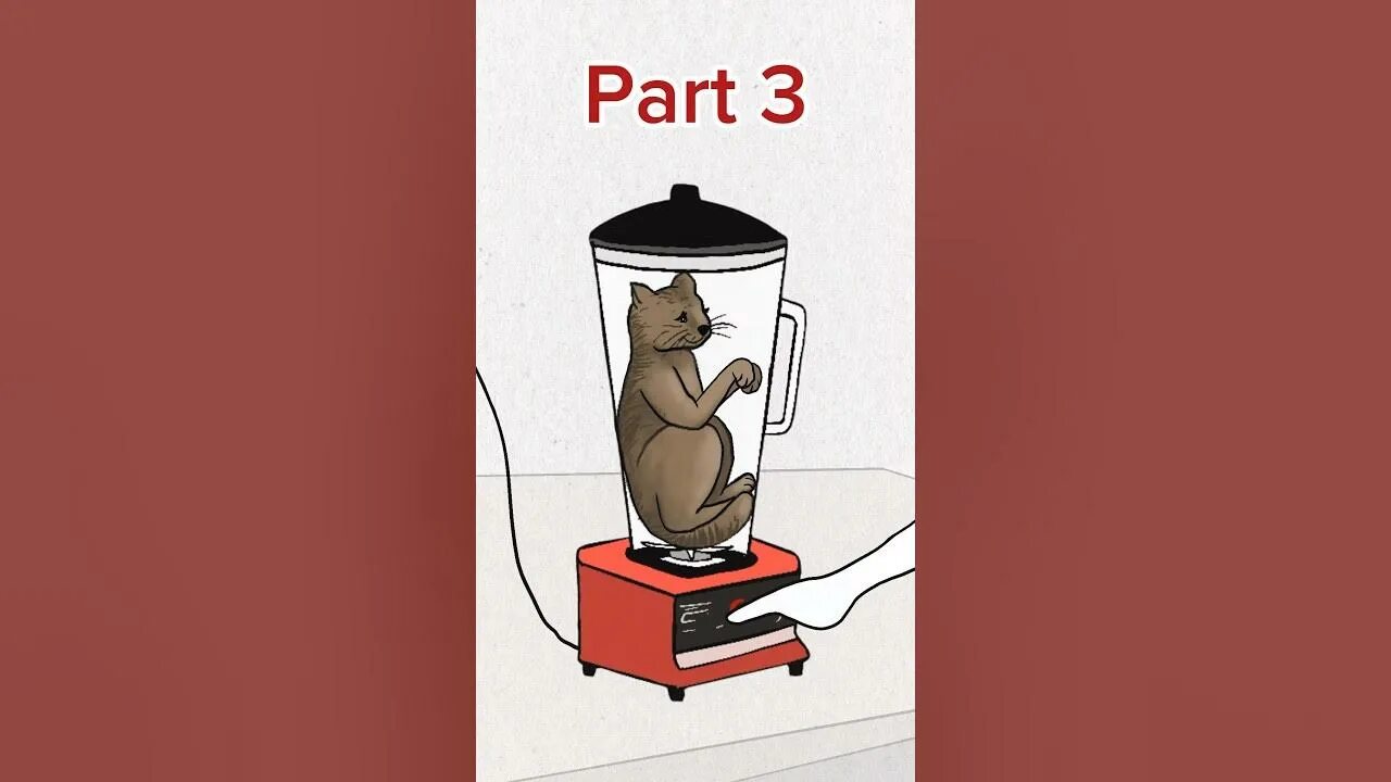 Cat blender video. Кот в блендере оригинал. Кошачий блендер. Котёнок в блендере фулл. КОО В блендере.