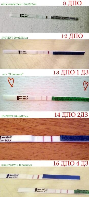 Тест на беременность. Положительные тесты на беременность на ранних сроках. Положительные тесты на беременность на ранних сроках до задержки. Положительный тест. Тест на беременность 20 мме