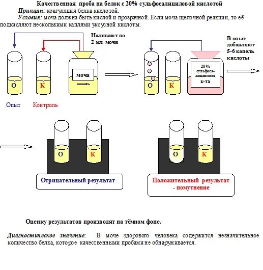 Моча реакция белок