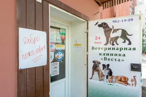 Черепичная ветклиника телефон великий