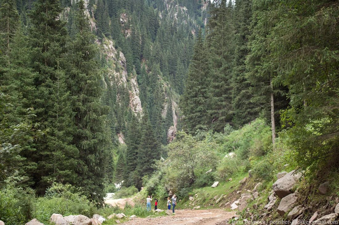 Григогорьвская ушелья исык кулб. Ущелье алтын арашан иссык куль. Киргизия ущелье арашан. Ущелье иссык. Семеновское ущелье киргизия.